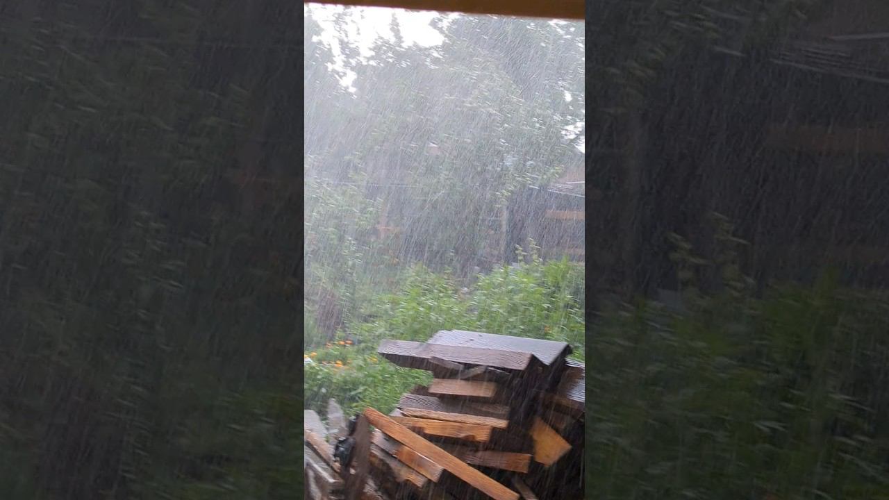 жесть погода Ростов :)) #shorts #wether #rain #дождь смотреть онлайн