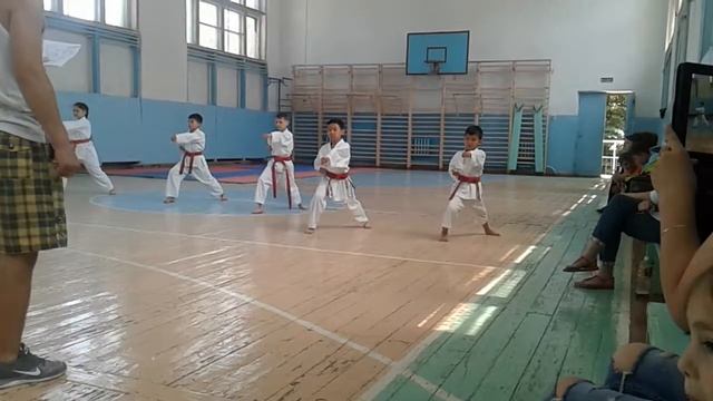 Кихоны на зеленый пояс