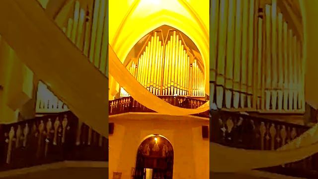 В католическои Соборе в органном зале смотреть онлайн