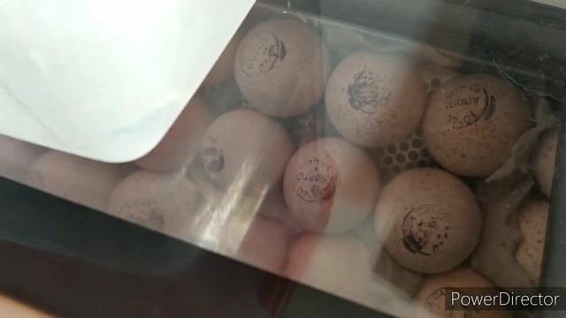 С ВЕРБНЫМ ВОСКРЕСЕНЬЕМ ДОРОГИЕ МОИ смотреть онлайн