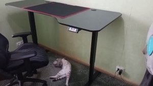 Компьютерный стол ARDOR GAMING Iron shell 160R