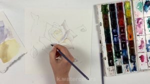 Рисуем Белую Розу УРОК РИСОВАНИЯ Акварель для начинающих