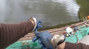 Шокирующая Находка на Поисковый Магнит, search magnet