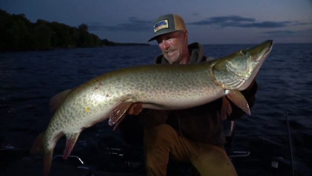 285.25 Inches - Part 2 - Keyes Outdoors Musky Hunting Adventures