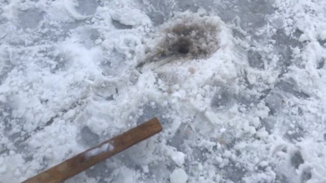 Утопили снегоход, спасение смотреть онлайн