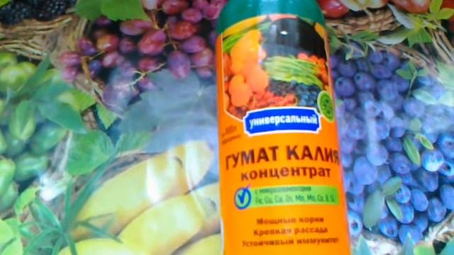 Гумат калия. Безопасен и эффективен.