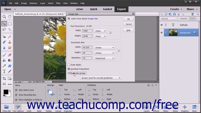 Photoshop Elements 15 Tutorial Image Size & Resolution Settings Adobe Training смотреть онлайн