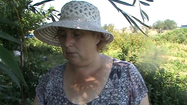 СОЛНЦЕМ СОЖГЛО МАЛИНУ# САРАЙ# ПИРОЖКИ на йогурте # СМОТРИМ ФУТБОЛ как сыграли  наши