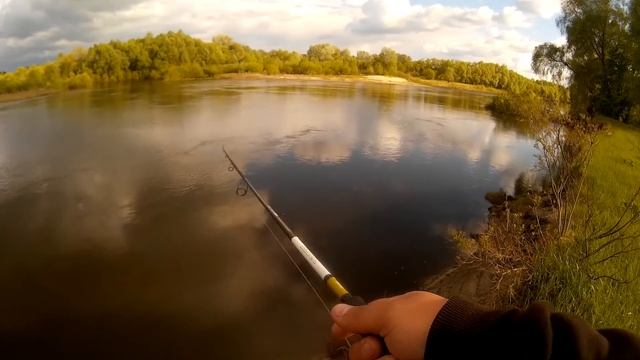 Где искать судака и жереха. Ответы на вопросы смотреть онлайн