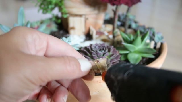 Fairy Garden #5 * DIY * Minigarten Im Topf