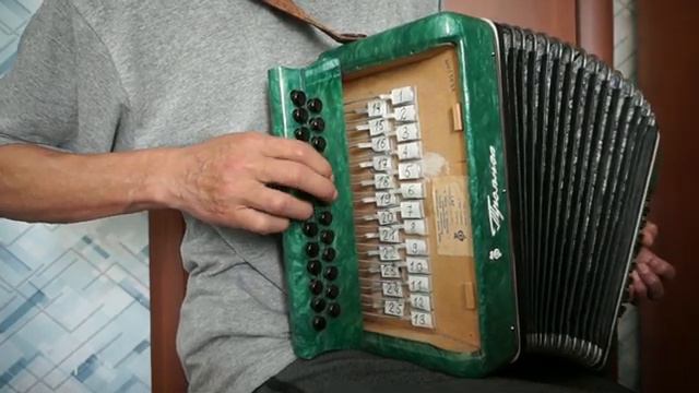 Каким меня ты ядом напоила, разбор на гармони №-393 с цифрами смотреть онлайн