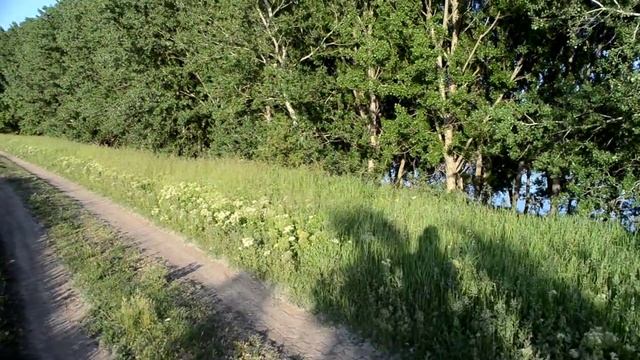 Дачный участок в зоне отдыха. смотреть онлайн