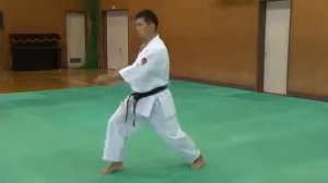 Начальные ката Тайкеку соно Ичи, Ни, Сан