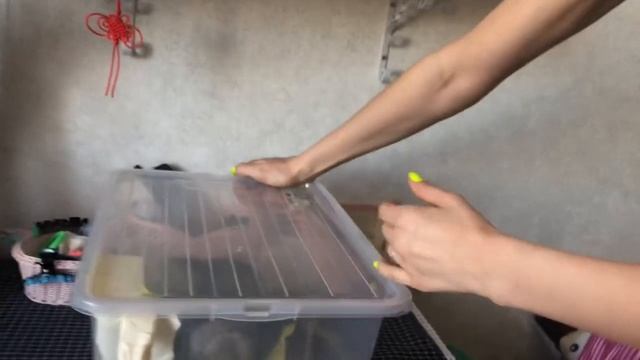 Как делать ингаляции крысам ? смотреть онлайн