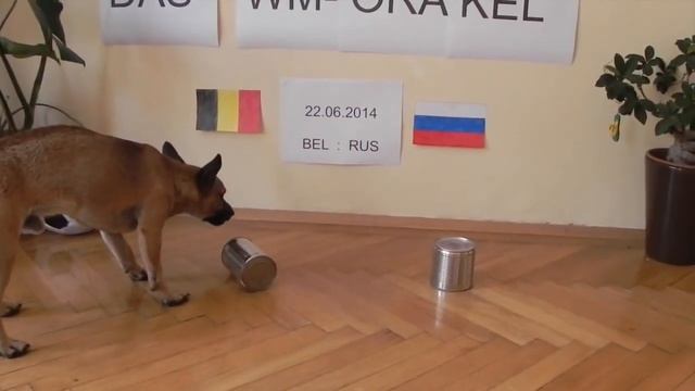 WM 2014 Oracle - Ep. 11 - Balu predicts BEL vs RUS // KOR vs ALG // USA vs POR смотреть онлайн