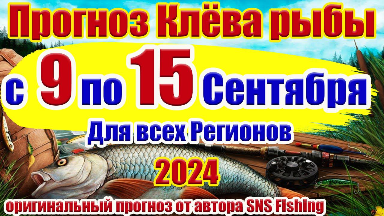 Не пропусти клевые дни осенней рыбалки Прогноз клева рыбы на неделю с 9 по 15 Сентября смотреть онлайн