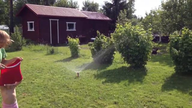 Детки по травке