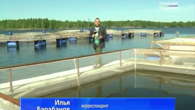 Под Ярославлем построили инкубационный цех для разведения форели смотреть онлайн