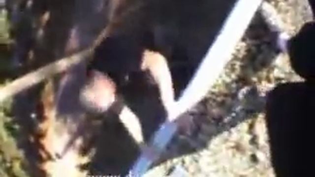 Франция, г. Лисс, Давид Белль смотреть онлайн