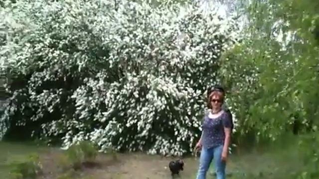 Сирень смотреть онлайн