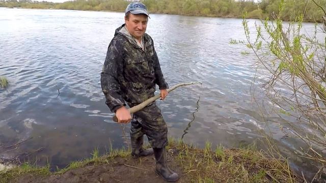 Рыбалка на Паук! Как Быстро Наловить Уклейку для Приготовления "Шпрот"! смотреть онлайн