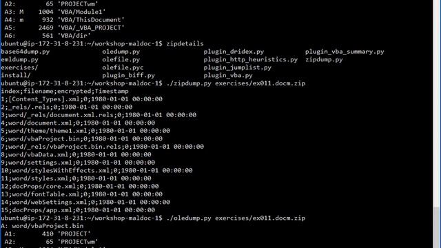 Analyzing Malicious Document with OLE Tools смотреть онлайн