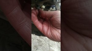 Замена масла в редукторе китайского скутера 139qmb