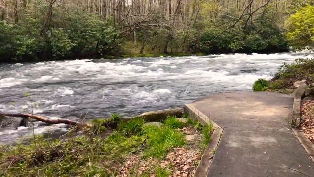 Nantahala -William Bertram Access смотреть онлайн