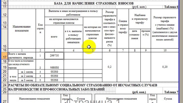 Самое Техничное заполнение отчета в ФСС