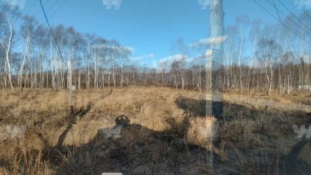 ДНТ Наука ул Вильгельма Витгефта смотреть онлайн