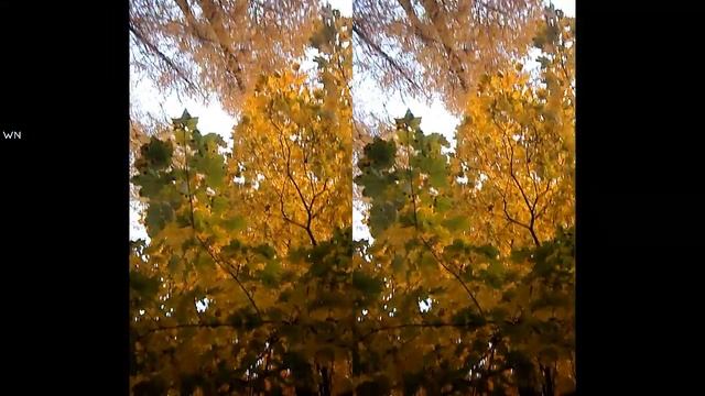 Autumn In My Heart ? Walk In The Park | Sokolniki in MOSCOW смотреть онлайн