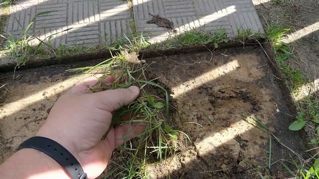 Как Сделать Садовые Дорожки На Даче Своими Руками смотреть онлайн