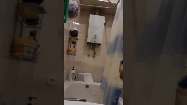 как помыть собаку смотреть онлайн