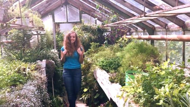 В 17 лет серьёзность не к лицу. смотреть онлайн