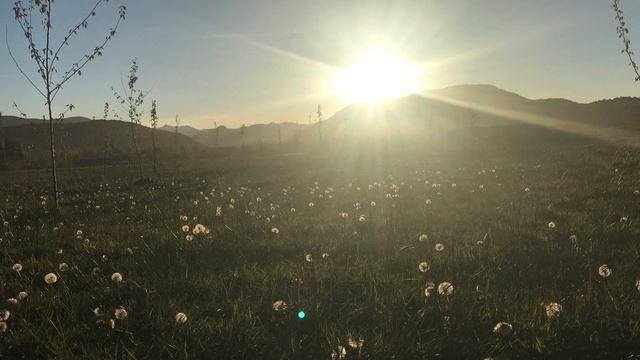 МЕДИТАЦИЯ. ИСЦЕЛЕНИЕ БЕЛЫМ СВЕТОМ смотреть онлайн