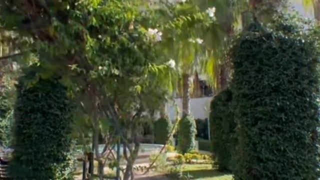 ЗАМЕЧАТЕЛЬНЫЙ НОЯБРЬ. ТУРЦИЯ 2023. смотреть онлайн