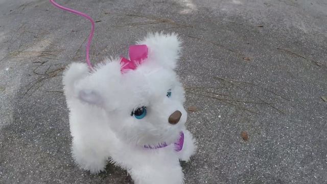 Cutest Puppies - FurReal Friends Puppy Dogs Walking Pups Pets! Interactive Toys
