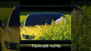 Песня из клипа Паши пела