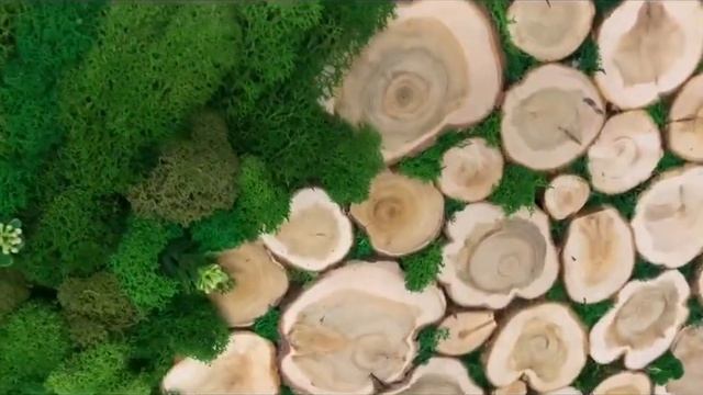 Картины из спилов можжевельника смотреть онлайн