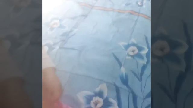 Момо у нас дома