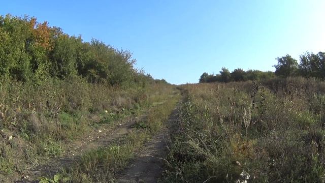 Заяц Ракета и гончая Нагонка 20190915 смотреть онлайн