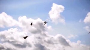 Snatam Kaur - Ong Namo