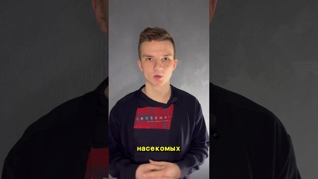 Почему мы боимся щекотки? #shorts смотреть онлайн