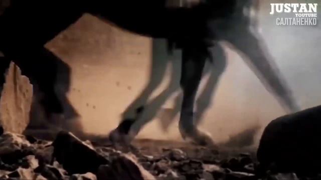 Пришествие Христа будет на нашем роду ! Восстановление Израиля смотреть онлайн