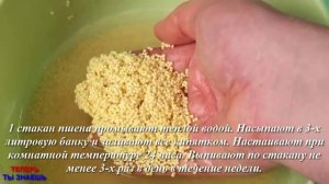 ПШЕНО ИСЦЕЛЯЕТ ВАШИ ПОЧКИ! Врачи об Этом Не Говорят! Старинный Рецепт