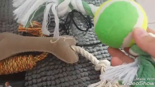 Покупки из зоомагазина. смотреть онлайн