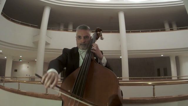 Domenico DRAGONETTI - Waltz No.4 смотреть онлайн