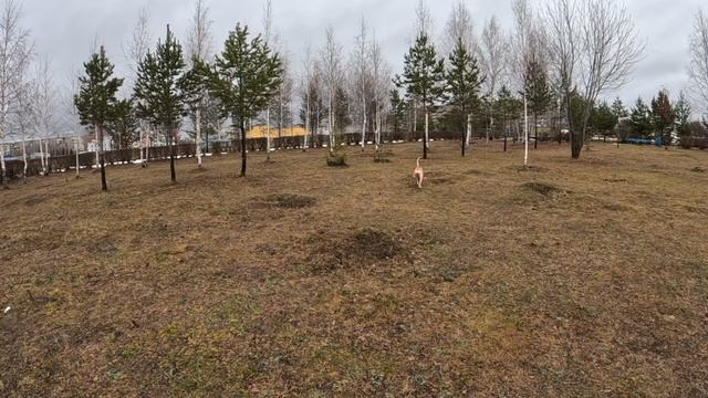 2022-11-12 смотреть онлайн