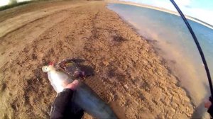 Судак на джиг с берега. Выбираю приманку на судака. Главное правило спиннингиста.