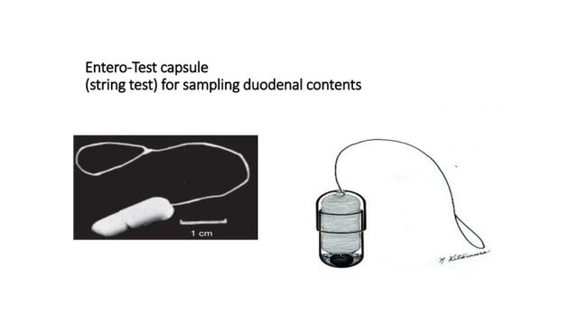 GIT module practical ( Projector Protozoa) смотреть онлайн